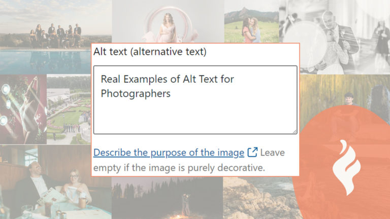 29 Examples of Great Alt Text for Photographers